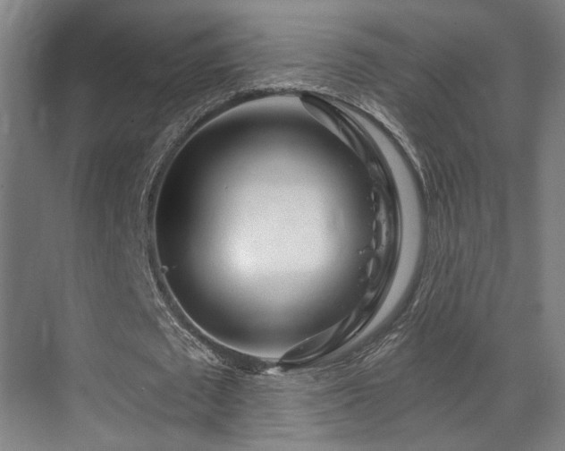 X0000070200673200605261227