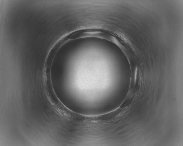 X0000070200676200605261227
