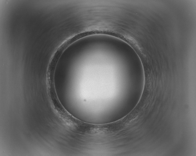 X0000070200680200605261227