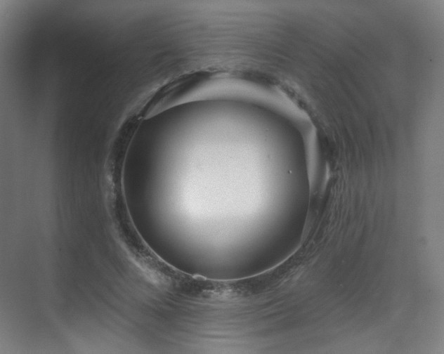 X0000070200688200605261226