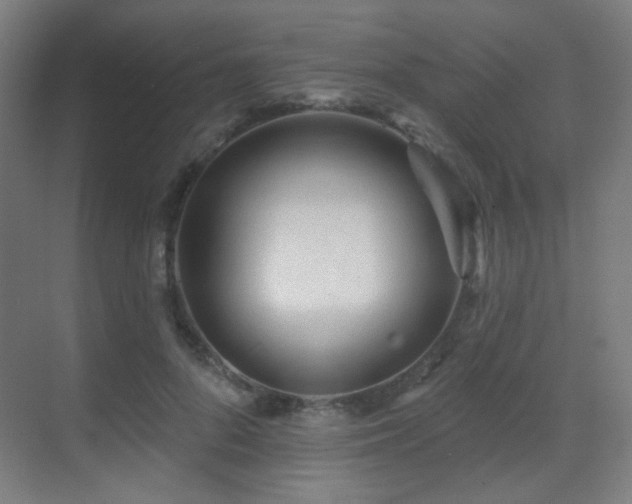 X0000070200696200605261226