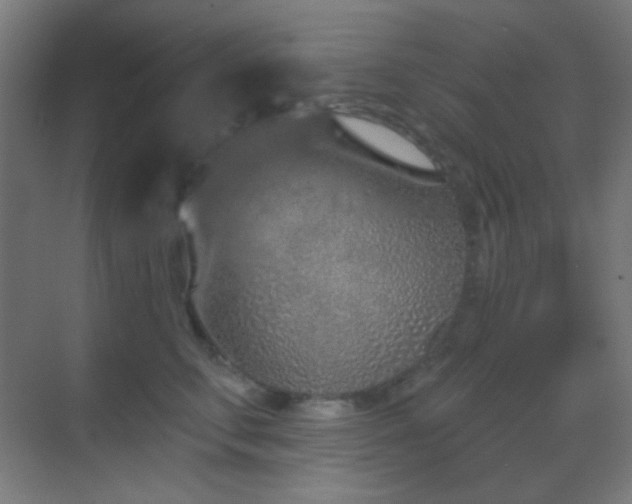 X0000070200711200605261226