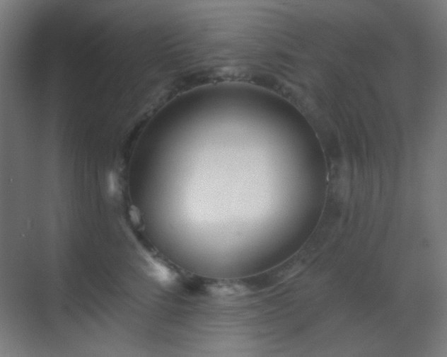 X0000070200712200605261226