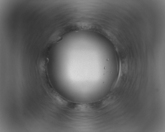 X0000070200713200605261226