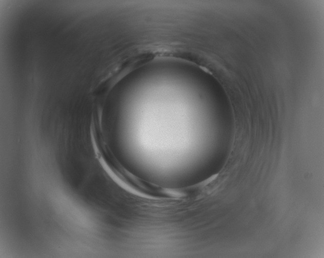 X0000070200720200605261226