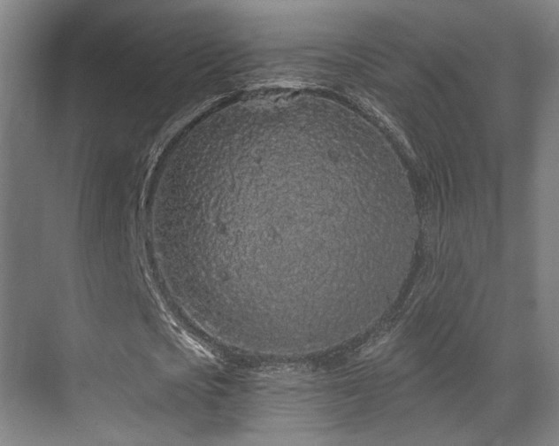 X0000070200721200605261225