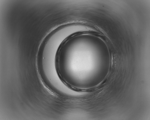 X0000070200726200605261225