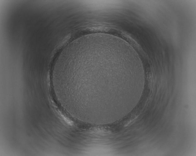 X0000070200729200605261225