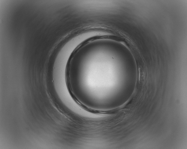 X0000070200732200605261225