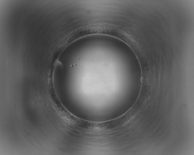 X0000070200737200605261225