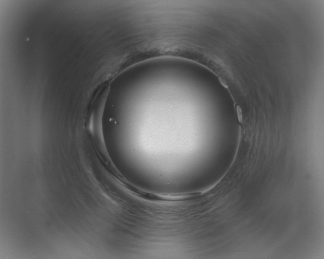 X0000070200740200605261225