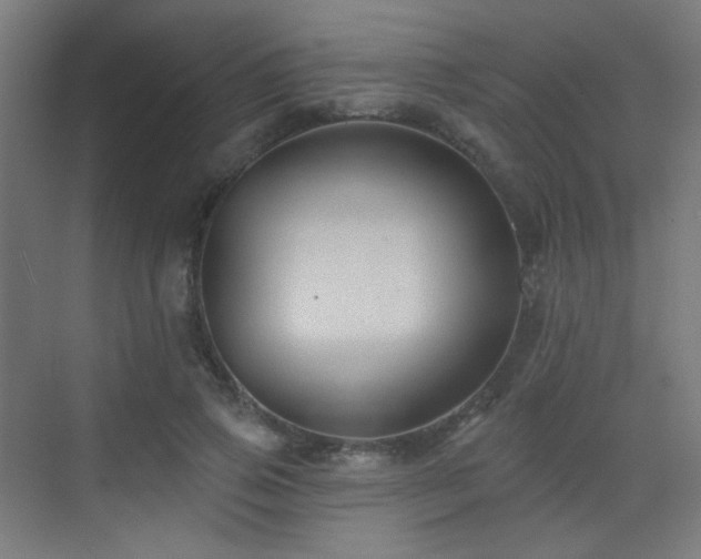X0000070200741200605261225
