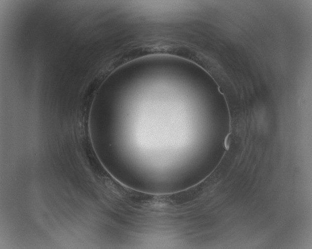 X0000070200743200605261225