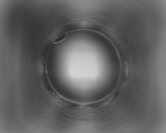 X0000070200746200605261225