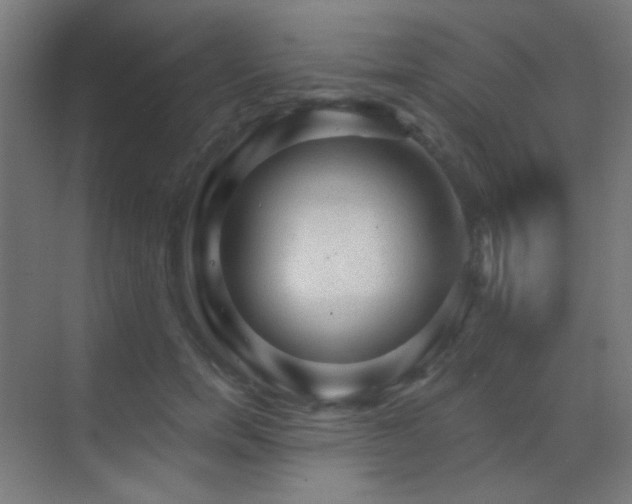 X0000070200750200605261226