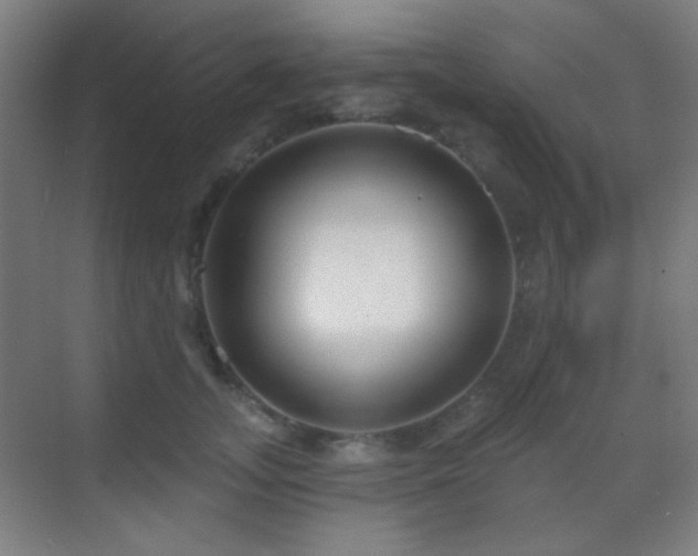 X0000070200755200605261226