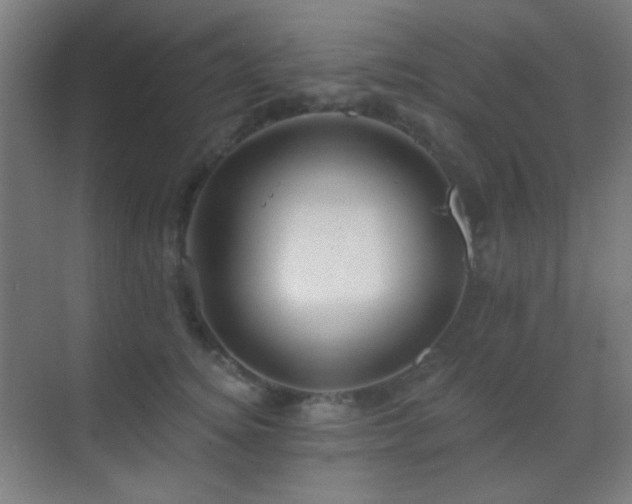 X0000070200756200605261226