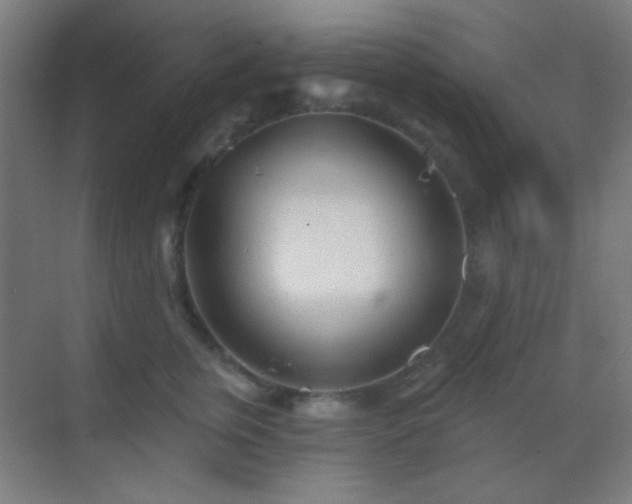 X0000070200759200605261226
