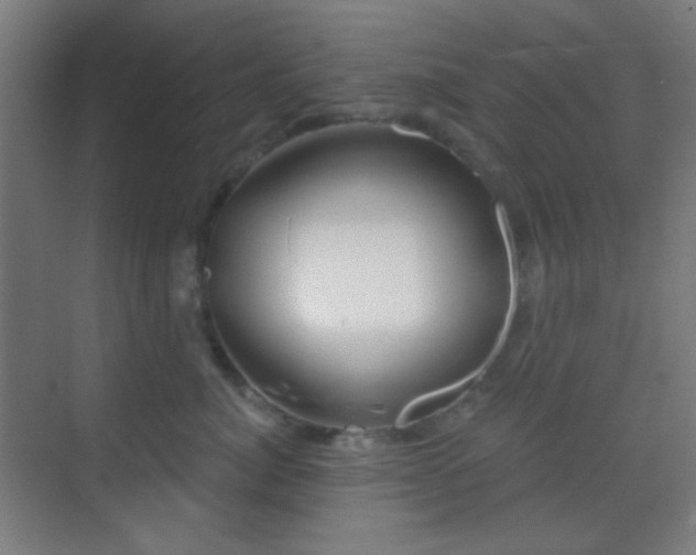 X0000070200764200605261226