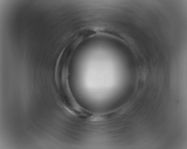 X0000070200766200605261226