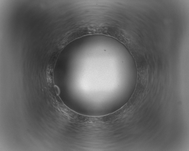X0000070200770200605261225
