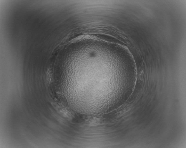 X0000070200772200605261225