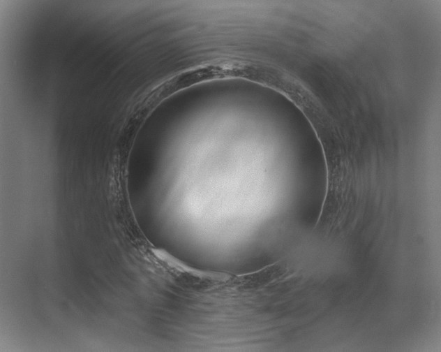 X0000070200773200605261225
