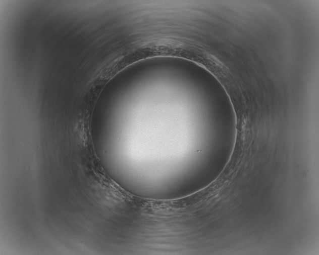 X0000070200774200605261225