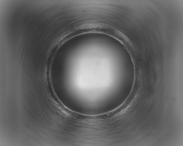X0000070200778200605261225