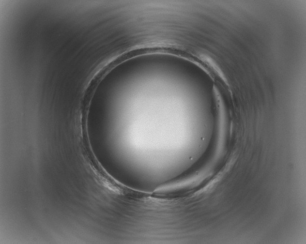 X0000070200781200605261225