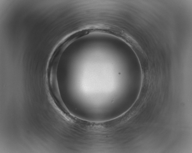 X0000070200784200605261225