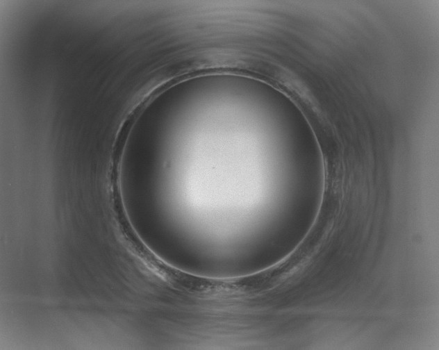 X0000070200786200605261225