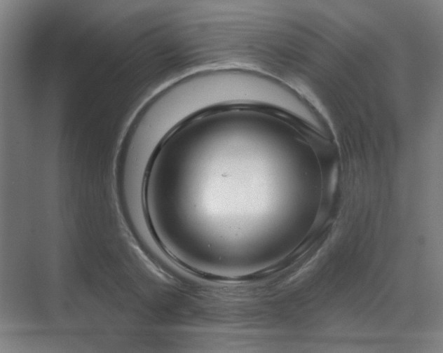 X0000070200789200605261225