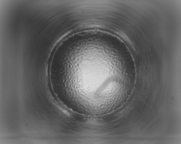 X0000070200790200605261225