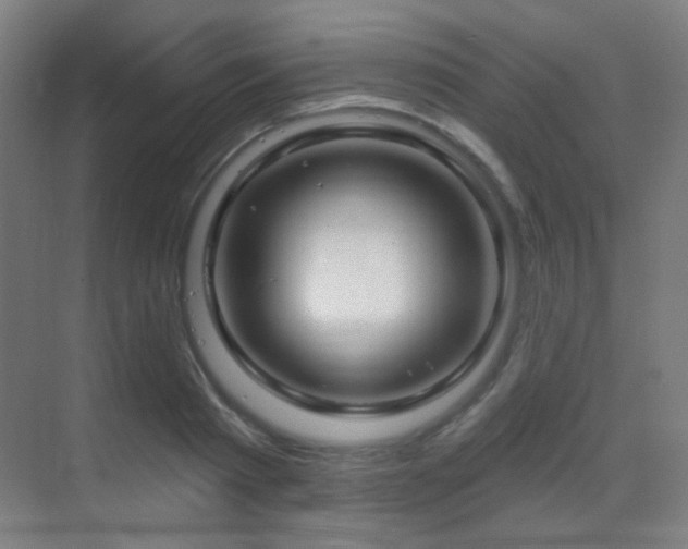 X0000070200793200605261225