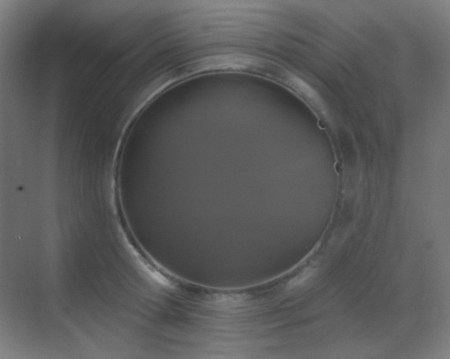 X0000070200802200605261224
