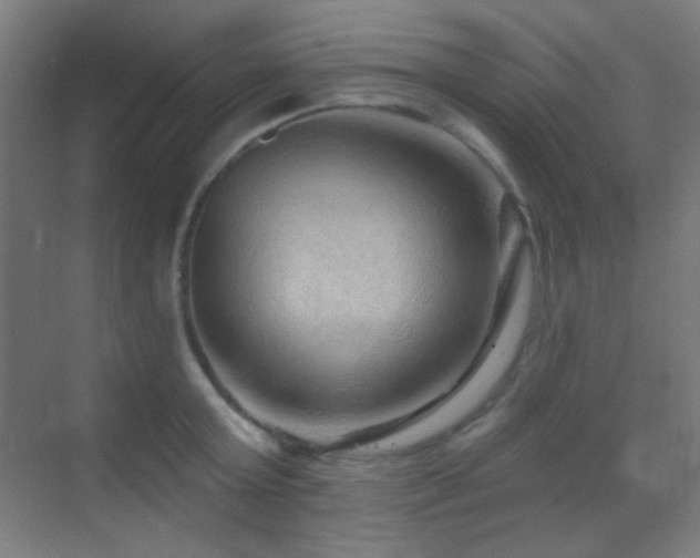 X0000070200803200605261224