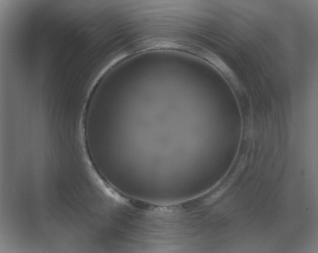 X0000070200806200605261224