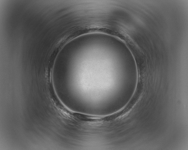 X0000070200825200605261224