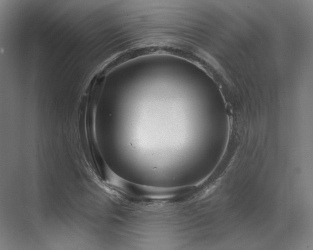 X0000070200826200605261224