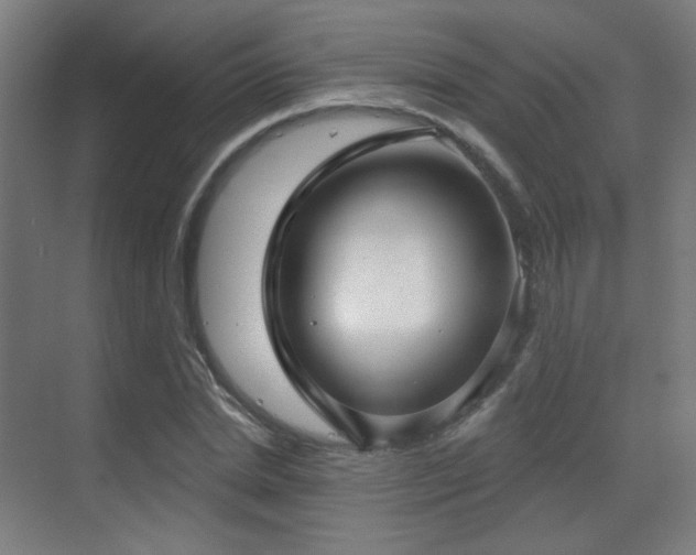 X0000070200830200605261224