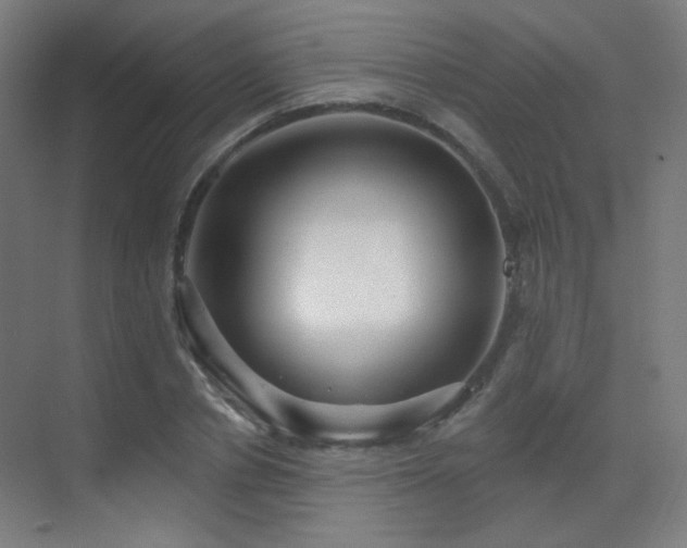 X0000070200834200605261224