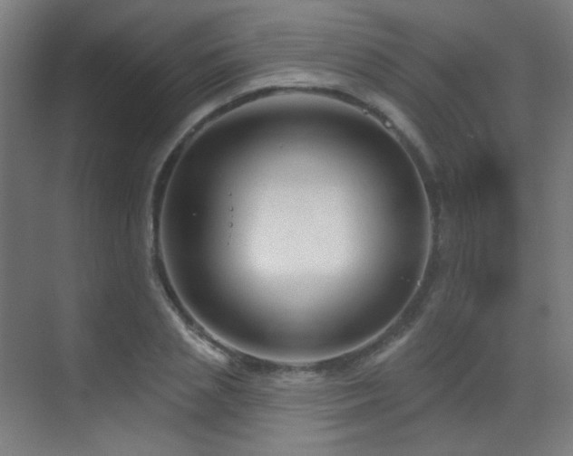 X0000070200837200605261224