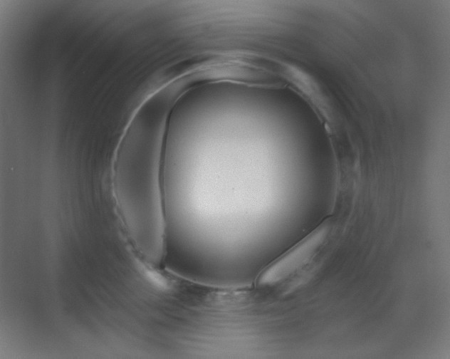 X0000070200858200605261224