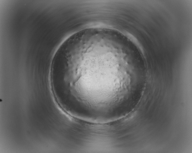 X0000070200863200605261224