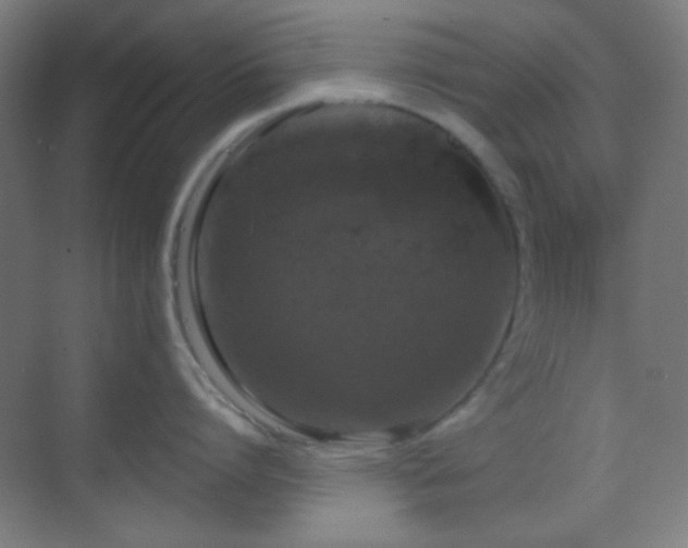 X0000070200864200605261224
