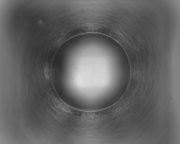 X0000070200866200605261223