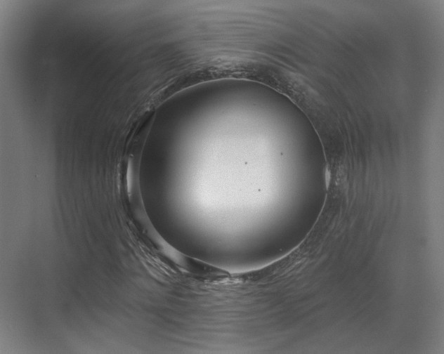X0000070200868200605261223