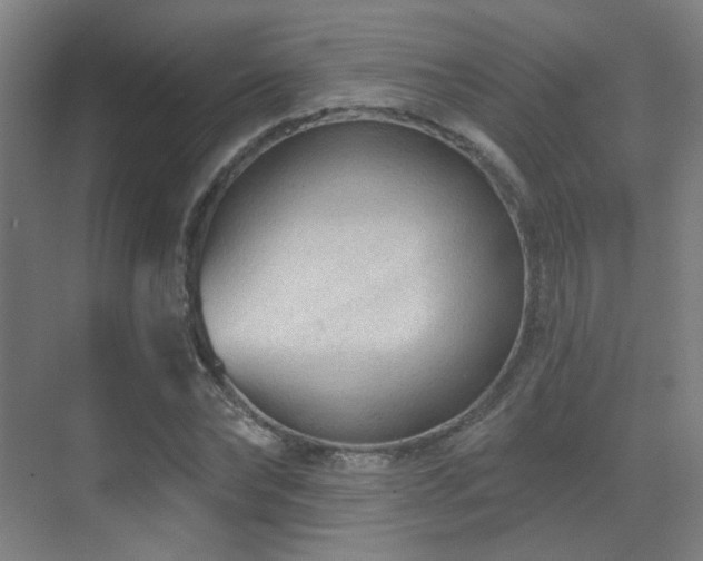 X0000070200878200605261223