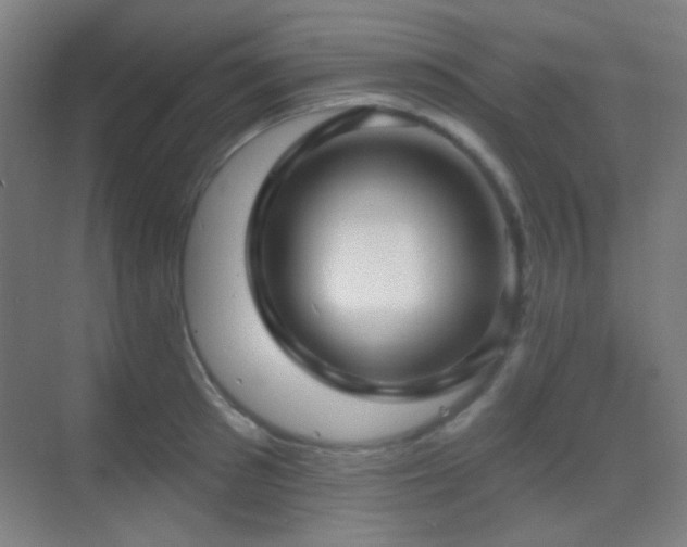 X0000070200897200605261223